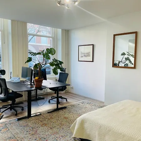 Spacious With Garden Appartement
